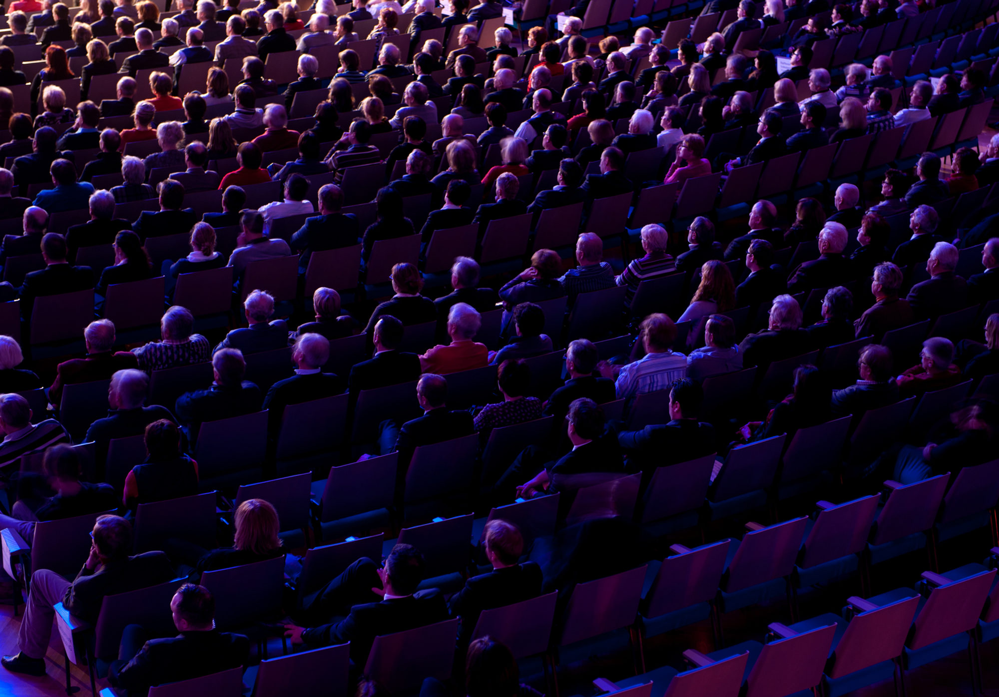 Das Publikum im Saal während eines Konzerts